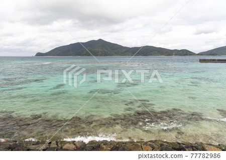 Taen Beach in Amami Oshima 77782986