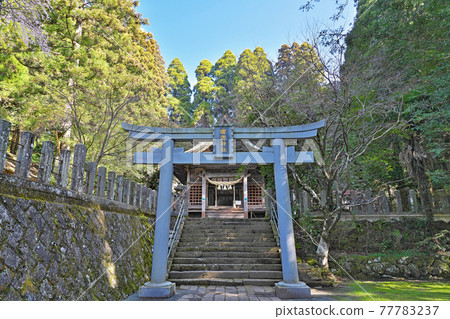 [Kokuzo Shrine] Ichinomiyamachi Teno, Aso City, Kumamoto Prefecture 77783237