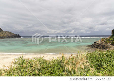 奄美大島船越海灘 77783252