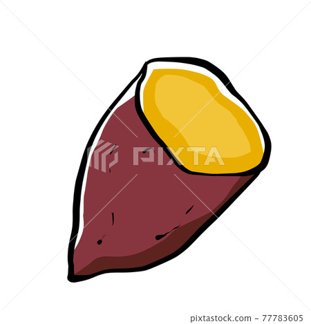 Realistic sweet potato illustration 77783605
