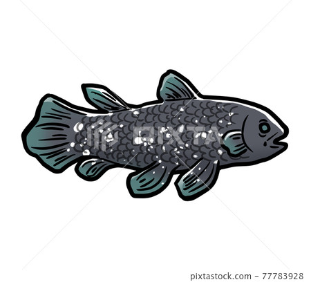 逼真的腔棘魚插圖 77783928
