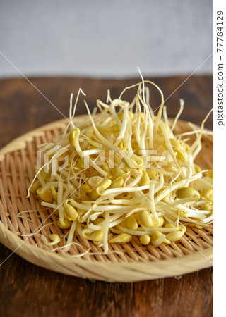 Bean sprouts Bean sprouts 77784129