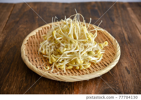 豆芽 77784130