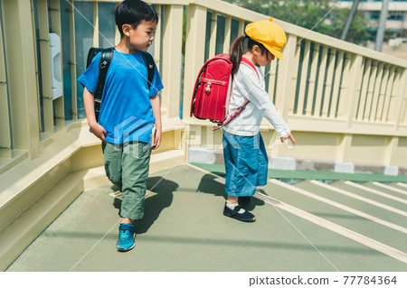 1st grade elementary school student 1st grade elementary school student 77784364