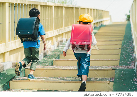 1st grade elementary school student 77784393