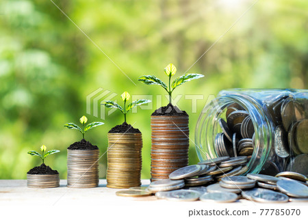 Planting trees on coins beside bottles of money on a natural background, business and financial concepts. Planting trees on coins beside bottles of money on a natural background, business and financial concepts. 77785070