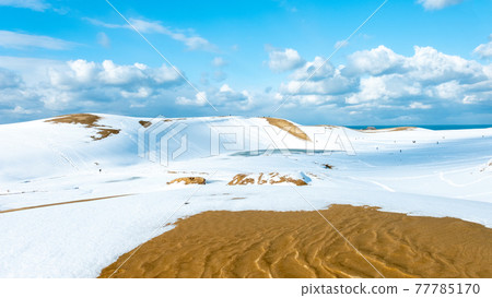 鳥取沙丘的雪景 77785170