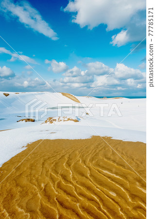 Snow scene of Tottori Sand Dunes Snow scene of Tottori Sand Dunes 77785171