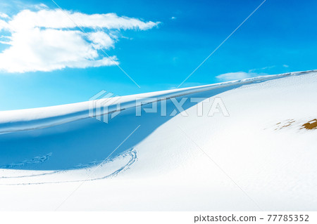 Snow modeling (Tottori Sand Dunes) Snow modeling (Tottori Sand Dunes) 77785352