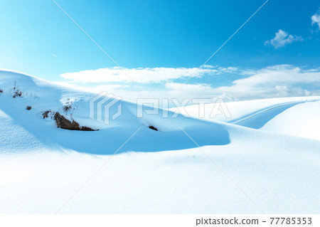 雪地造型(鳥取沙丘) 雪地造型(鳥取沙丘) 77785353