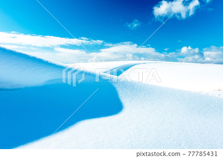 雪地造型（鳥取沙丘） 77785431