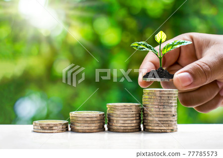 Grow small trees by hand on coins and natural light, financial accounting concepts and save money. 77785573