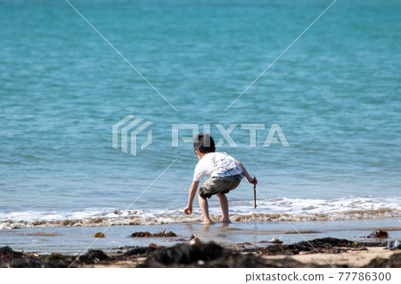 Children playing at the beach 77786300