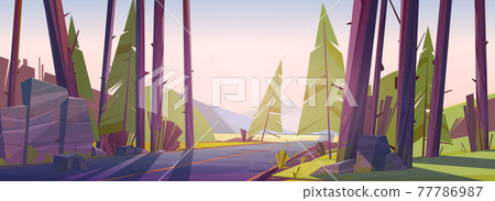 Forest landscape with road and mountain on horizon 77786987