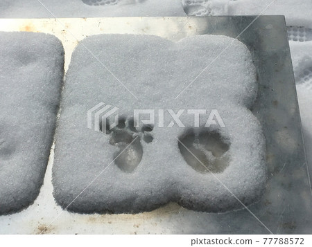 神秘的足跡 神秘的足跡 77788572