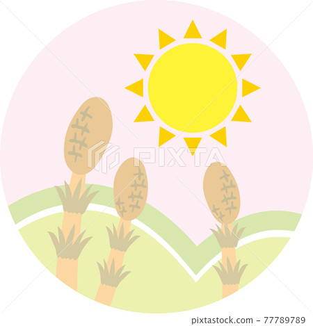 Horsetail and the sun 77789789