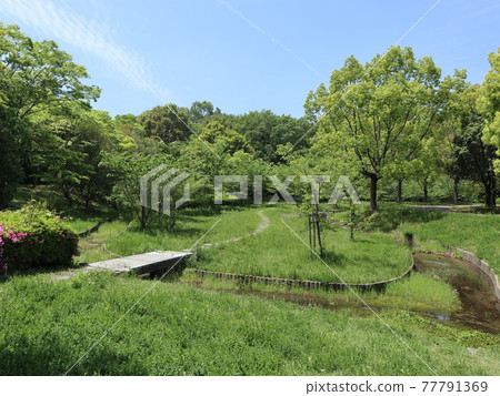A park 5 minutes from the station Seishin Central Park Spring fresh green of the park A park 5 minutes from the station Seishin Central Park Spring fresh green of the park 77791369