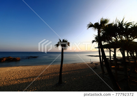 Amami Oshima's cheap coastal scenery where the palm tree makes you feel the atmosphere of a tropical country Amami Oshima's cheap coastal scenery where the palm tree makes you feel the atmosphere of a tropical country 77792372