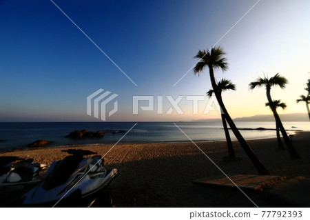 奄美大島廉價海岸的棕櫚樹和摩托艇 奄美大島廉價海岸的棕櫚樹和摩托艇 77792393