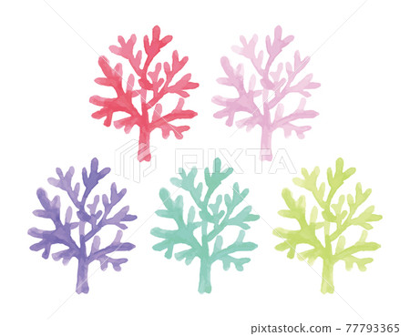 五顏六色的珊瑚水彩插圖 五顏六色的珊瑚水彩插圖 77793365
