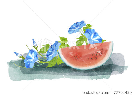 Watermelon and morning glory watercolor Watermelon and morning glory watercolor 77793430