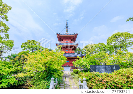 Buzen Kokubunji Mie Pagoda, Miyako District, Fukuoka Prefecture 77793734