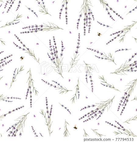 Beautiful seamless floral provence pattern with watercolor hand drawn gentle lavander flowers. Stock illustration. 77794533