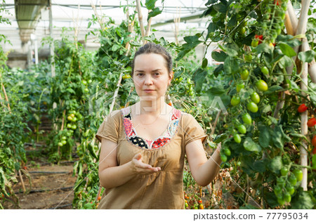 Woman working in glasshousw Woman working in glasshousw 77795034