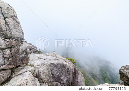 從福岡縣太宰府市保滿山山頂看霧景 77795123