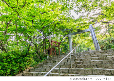 福岡縣太宰府市鐮戶神社 福岡縣太宰府市鐮戶神社 77795148