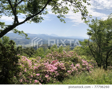 湯布山高原 湯布山高原 77796260