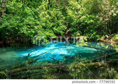 Blue Pool, turquoise crystal clear spring in middle of forest, Krabi, Thailand Blue Pool, turquoise crystal clear spring in middle of forest, Krabi, Thailand 77796592