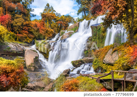 Colorful majestic waterfall in national park forest during autumn 77796699