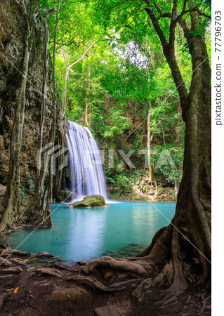Waterfall cliff level 3, Erawan National Park, Kanchanaburi, Thailand Waterfall cliff level 3, Erawan National Park, Kanchanaburi, Thailand 77796703