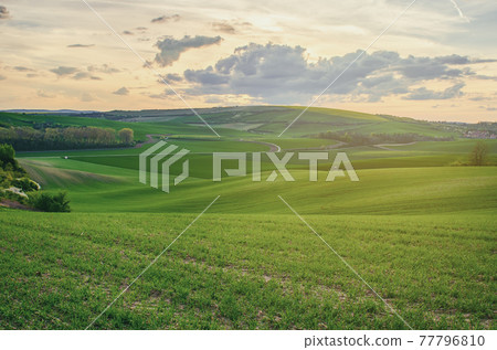 Rural spring landscape 77796810