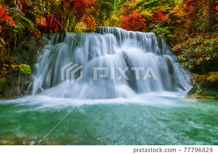 Colorful majestic waterfall in national park forest during autumn - Image Colorful majestic waterfall in national park forest during autumn - Image 77796829