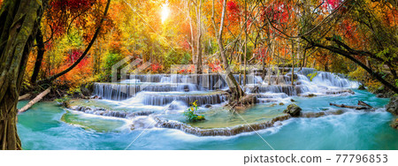 Colorful majestic waterfall in national park forest during autumn, panorama - Image 77796853