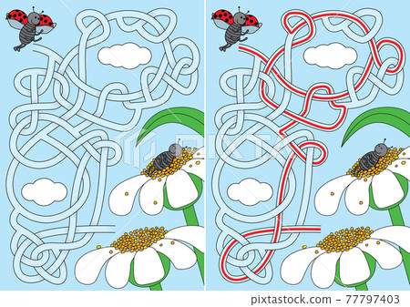 Ladybug maze 77797403