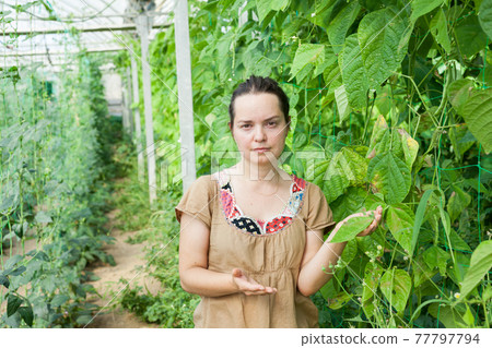 Woman working in glasshousw Woman working in glasshousw 77797794