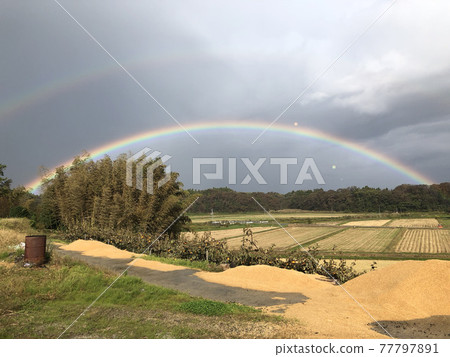 國家彩虹 77797891