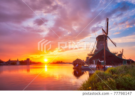 Windmills at Zaanse Schans in Holland on sunset. Zaandam, Nether 77798147
