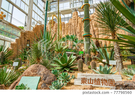 東山植物園，溫室中的植物 <愛知縣名古屋市> 77798560