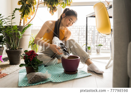 Woman looking at her houseplants and smiling while spending time at home 77798598