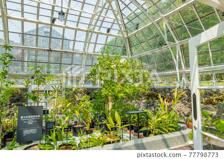 Japan's oldest public greenhouse in Higashiyama Botanical Garden, Greenhouse Front Building <Nagoya City, Aichi Prefecture> Japan's oldest public greenhouse in Higashiyama Botanical Garden, Greenhouse Front Building <Nagoya City, Aichi Prefecture> 77798773