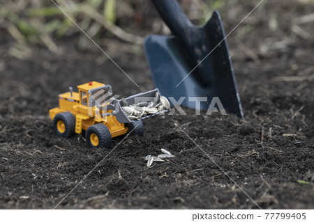 播種葵花籽的輪式裝載機 77799405