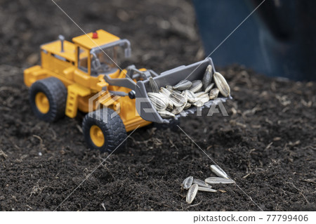 Wheel loader to sow sunflower seeds 77799406