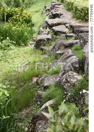 片倉城堡遺址公園 片倉城堡遺址公園 77799496