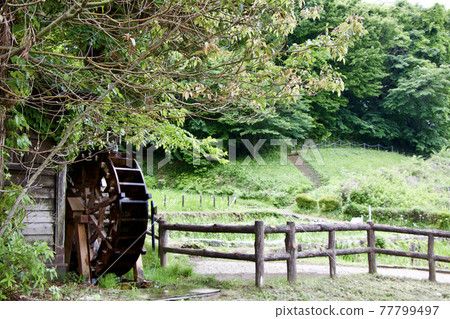 片倉城堡遺址公園 片倉城堡遺址公園 77799497