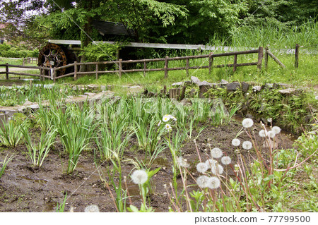 片倉城堡遺址公園 片倉城堡遺址公園 77799500
