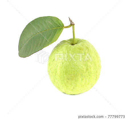 Guava fruit with leaf isolated on white background 77799773